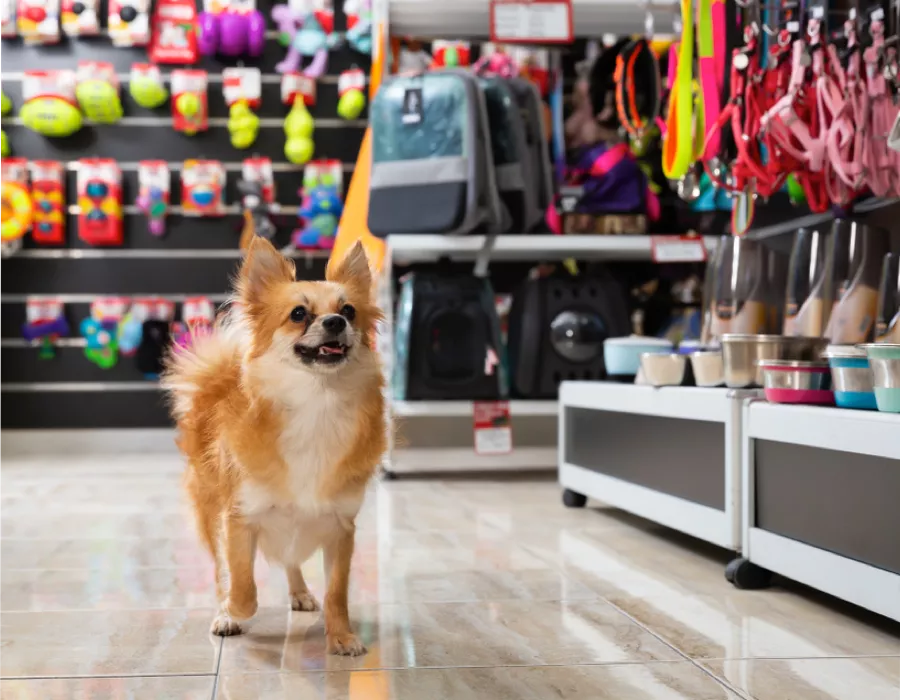 dog pet app