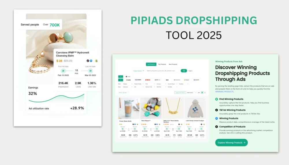 Pipiads Dropshipping Tool 2025: Find Winning Products Fast